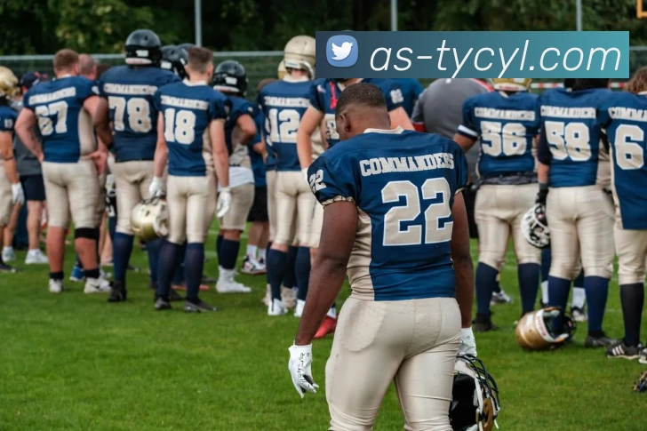 澳门太阳城网站平台生态图